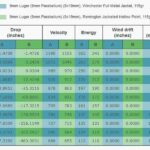 9mm Bullet Velocity: Speed, Factors & Safety