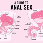 Anal Play: A Guide to Safety & Respect