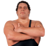 Andre the Giant’s Anatomy: Respecting Privacy & Facts