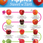 Apple Flesh: Sweet, Tart & Refreshing Crunch