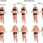 Attractiveness Standards: Body Proportions & Perception