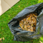 Bagged Leaves: Garden Uses & Sustainable Hacks