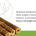 Bamboo Strength: Outperforming Wood in Construction
