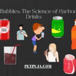 Beer Carbonation: How It’s Made Like Soda