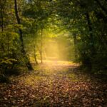 Brown Before Clarity: Unveiling the Path to Insight