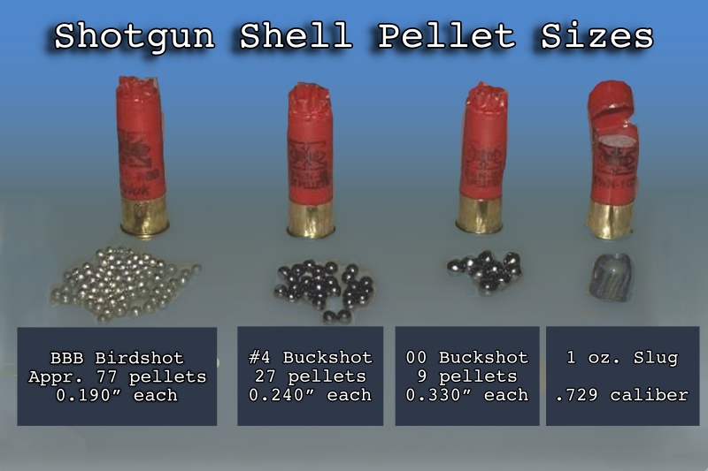 Buckshot Ammunition: Origins & History Explained