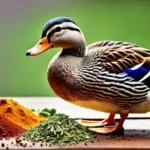 Can Ducks Taste Spicy Food? The Truth Revealed