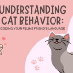 Cat Meows: Decoding Your Feline Friend’s Language