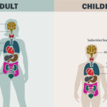 Chore Boy Smoking Dangers: Health Risks You Should Know
