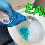 Clogged Toilet? How to Unclog It Yourself