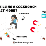 Cockroach Pheromones: Why Dead Roaches Attract More