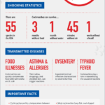 Cockroaches: Ecosystem Benefits Beyond the Bite