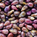 Concord Grape Seeds: Edible, Nutritional Benefits & Uses