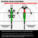 Crossbow Draw Weight: Understanding the Unique Force