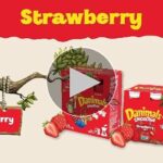 Danimals for Adults: Healthy Snack or Treat?