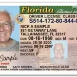 DMV: Do They Weigh You? Find Out Here!