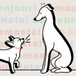 Do Dogs Know Other Dog Names?  Science Explores