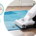 Do Vacuums Kill Spiders? What You Need To Know