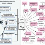 Does Instagram Track Your Eye Movements?  Privacy Concerns Explained