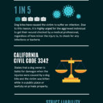 Dog Death Legal Consequences: Criminal vs Civil