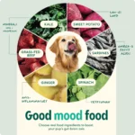 Dog Food Variety: Beat Boredom & Boost Appetite