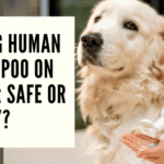 Dog Shampoo on Humans: Risks & Safe Alternatives