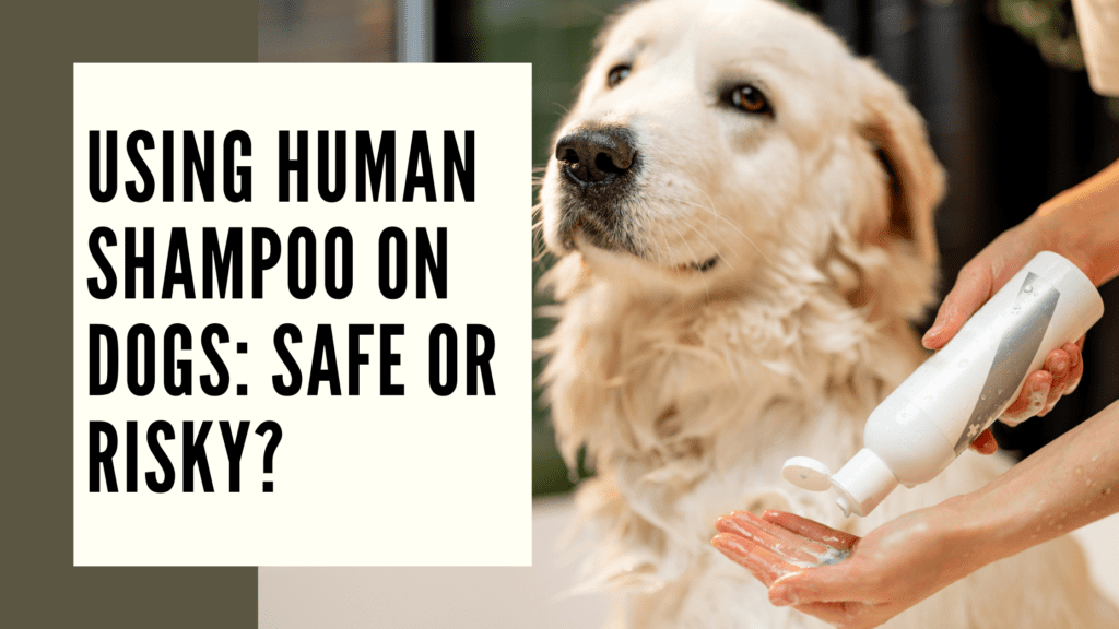Dog Shampoo on Humans: Risks & Safe Alternatives