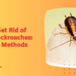 Eliminate Flying Cockroaches: Proven Extermination Strategies