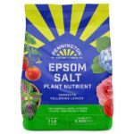 Epsom Salt Fertilizer: Benefits & Long-Lasting Effectiveness