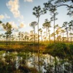 Everglades National Park: Human Remains Disposal Rules