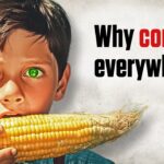 Feed Corn: What It Is & Why We Don’t Eat It