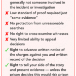 Fighting & Legal Consequences: Jail Time Risks Explained