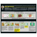 Fogger Pest Control: Complete Coverage Guide