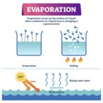 Gasoline Evaporation: How Heat Speeds Up the Process