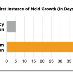 Hamburger Buns Shelf Life: How Long Are They Good?