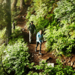 Hiking Benefits: Explore Nature, Boost Fitness & Wellbeing