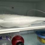 How Long Does It Take a Mini Fridge to Defrost?