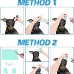 How to Tape a Dog’s Ears: A Safe & Effective Guide