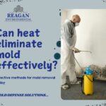 Kill Mold With Heat: How High Temperatures Work