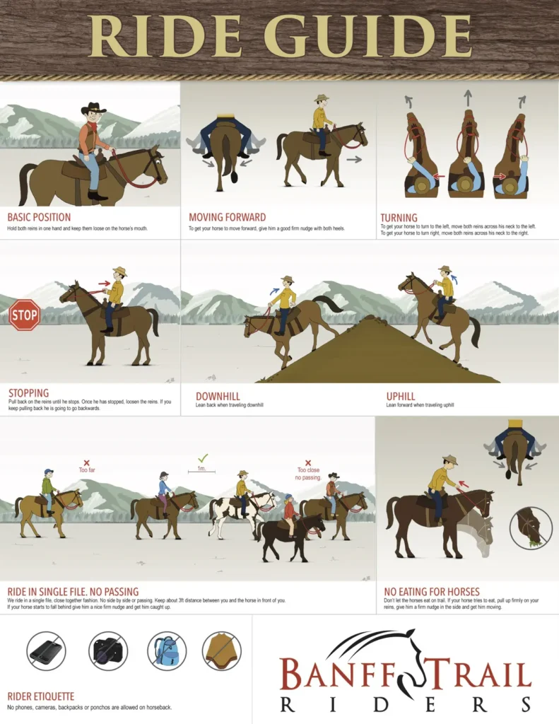 Learn to Ride a Horse: A Guide to Equestrian Skills