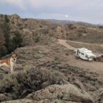 Living on Public Land: Legal Camping vs. Illegal Habitation