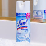 Lysol Spray: Kill Spiders Fast & Effectively