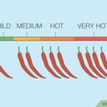 Mild vs Medium Salsa: Which Spice Level Is Right for You?