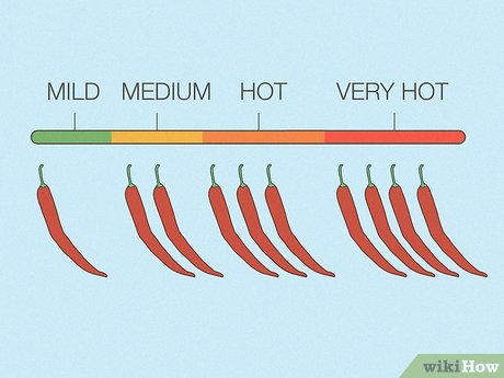 Mild vs Medium Salsa: Which Spice Level Is Right for You?