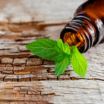 Peppermint Oil vs Extract: When to Substitute