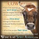 Pet Cow: Reality vs. Dream – Is It Right for You?