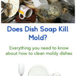 Prevent Mold on Pots & Pans: Cleaning Tips