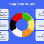 Red Stools After Burnt Peanuts: Causes & When to See a Doctor