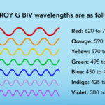 Roy G Biv: The Rainbow Color Order Explained