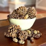 Scented Pine Cones: Long-Lasting Home Fragrance